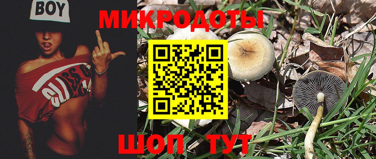 Ковров  Галлюциногенные грибы Psilocybine cubensis  Псилоцибиновые грибы Psilocybine cubensis  Вход с VPN 